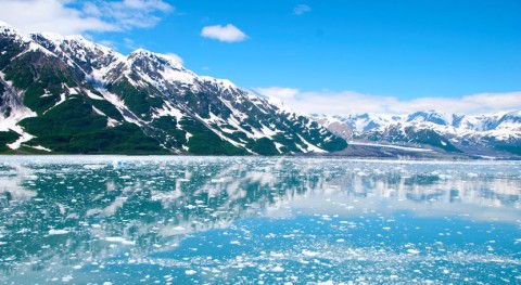 Glaciers are melting faster than ever, threatening biodiversity and ecosystem stability worldwide