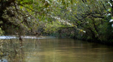 EPA proposes comprehensive updates to PFAS reporting requirements to reduce regulatory burden